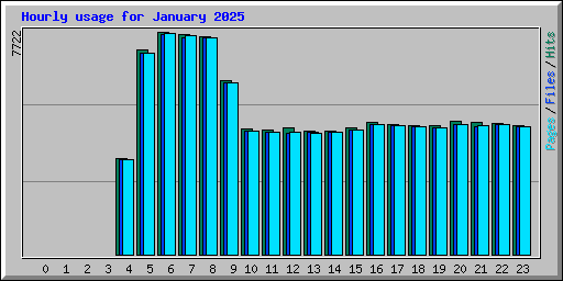 Hourly usage for January 2025